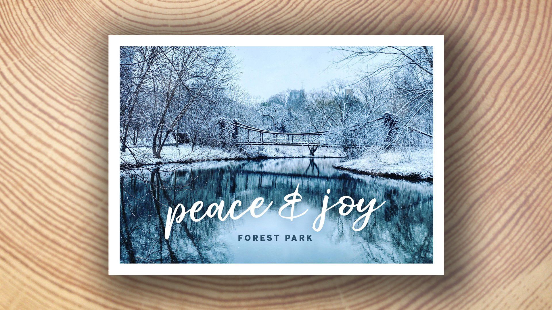 Forest Park Forever